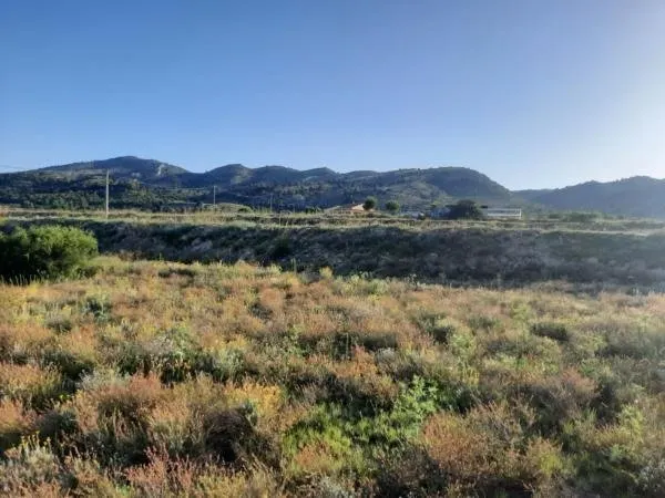 Terreno en la Alquebla — 4