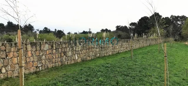 Terreno urbano 42740m² en venta - Póvoa de Varzim - Beiriz - - foto 5