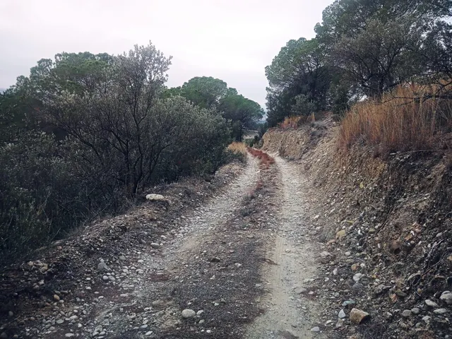 terreno Agrario — 7