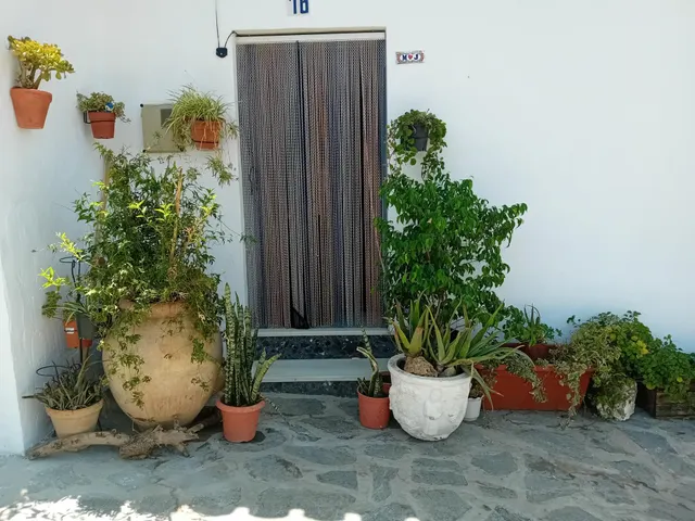 Encantadora Casa de Pueblo en Canillas de Aceituno — 33