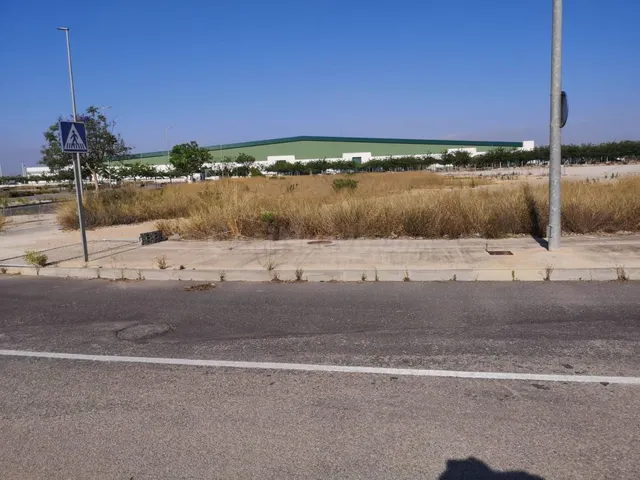 SUELO INDUSTRIAL EN DOLORES DE ALICANTE — 2