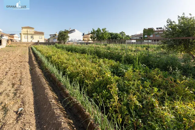 TERRENO URBANO 1060m EN LA ZUBIA — 18
