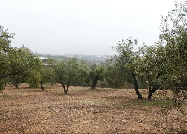 Finca rústica en Peligros – Excelente ubicación y acceso — 11