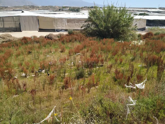 Venta de Suelo Urbanizable en El Ejido - Almería - foto 5