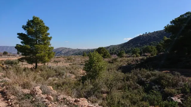 SE VENDE PARCELA EN TOTANA (MURCIA) — 6