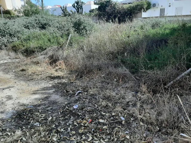 Oportunidad parcela en Puerto Rey. — 9