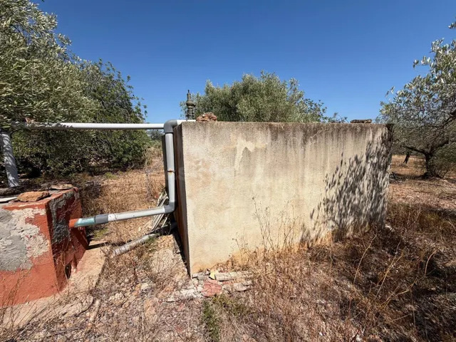 Terreno en venta - Alcanar - foto 4