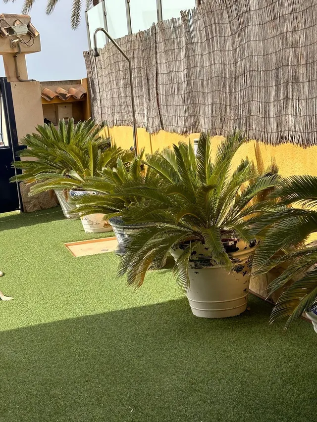 Exclusivo Chalet en Primera Línea de Mar en Santa Pola — 36