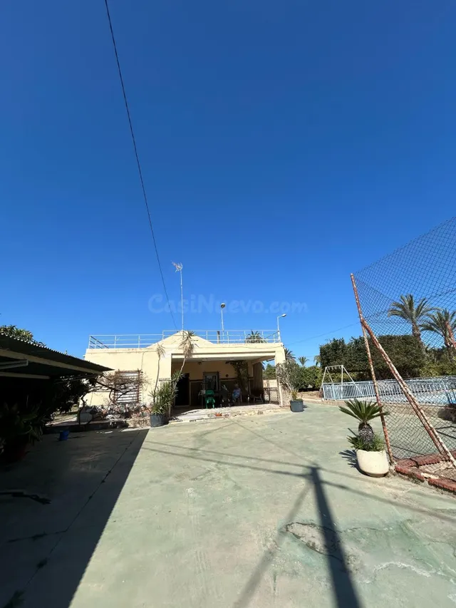 BUSCAS UN CAMPO A 2 MINUTOS DE ELCHE ? — 2