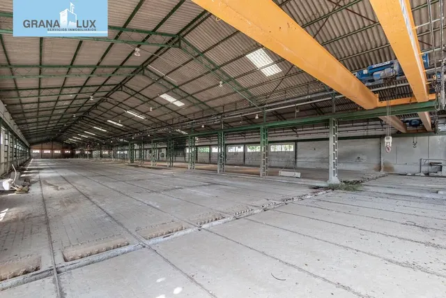Terreno industrial a la entrada de Illora — 22