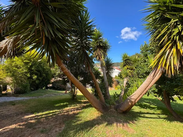 Pazo del siglo xvii a 5 minutos de la playa de rodeira (Cangas) — 12
