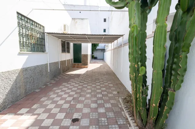 Quieres comprar tu gran hogar familiar junto al mar de playa de regla?... no puedes pasar por alto ésta! — 11