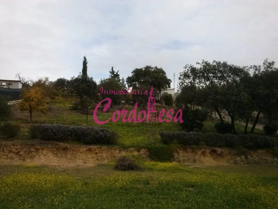 MAGNÍFICO TERRENO URBANO EN ALCOLEA
