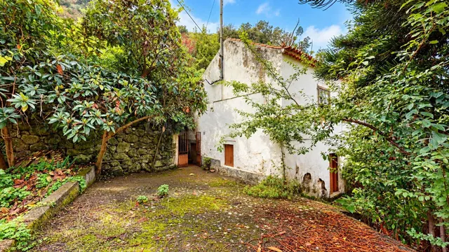 Finca con casa tradicional canaria y terreno de más de 12.000 m2 en Valsendero – Valleseco — 4