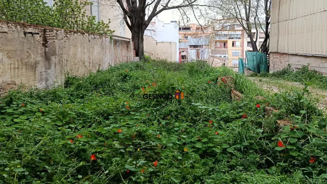 CASA CON HUERTO PARA REFORMA EN VENTA EN ONTINYENT — 2