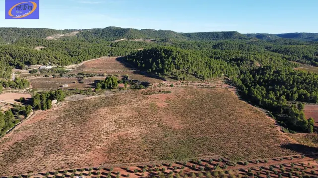 EN VENTA FINCA DE VIÑEDOS EN COFRENTES DE 209 HECTAREAS — 15