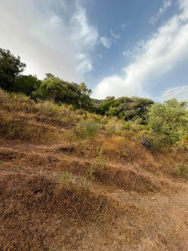 Terreno Rústico de 35 fanegas en FINCA LA SERENA! — 30
