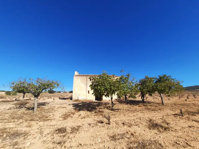 FINCA RÚSTICA EN ALMANSA — 18
