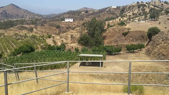 Finca rústica 6 habitaciones 803m² en venta - South of spain - foto 5