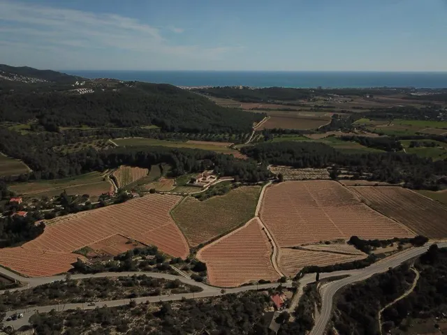 Finca de aprox 67 hectàreas. Con dos casas principales para reformar — 39