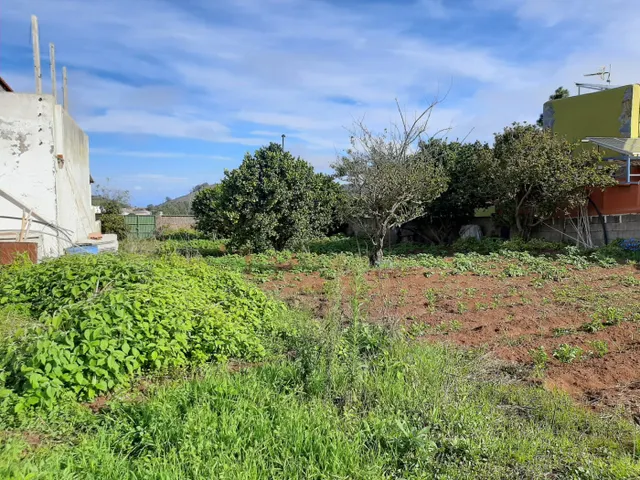 SOLAR URBANO CON FINCA RUSTICA — 19
