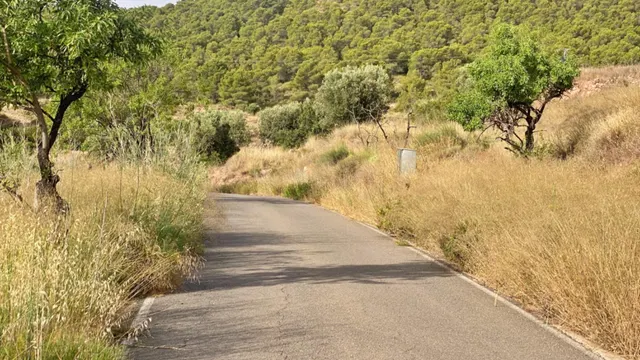 FINCA DE 6 Hectáreas con CASA CORTIJO para reformar — 12