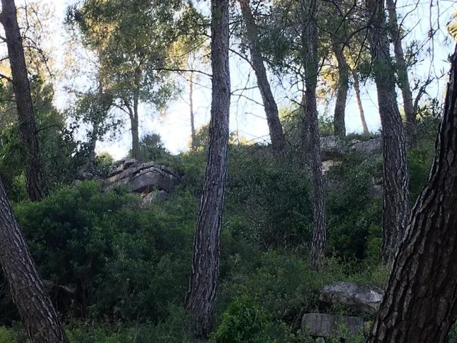 PARCELA URBANA DE 800 M2 EN VENTA EN VALLIRANA — 3