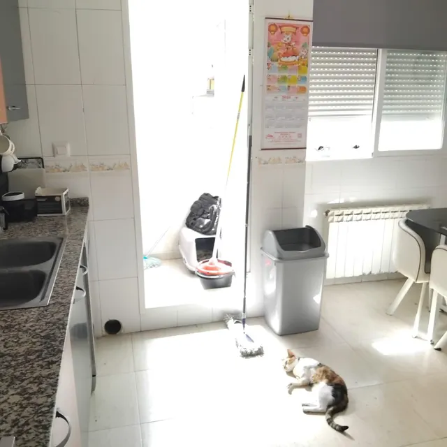 PISO con terraza y parking a lado - Parque del Langostino — 13