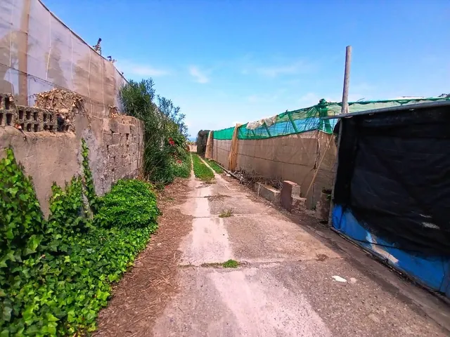 Casa con finca en Buenavista del norte — 4