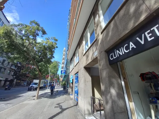 Local despacho en calle Numància ( Les Corts) — 14