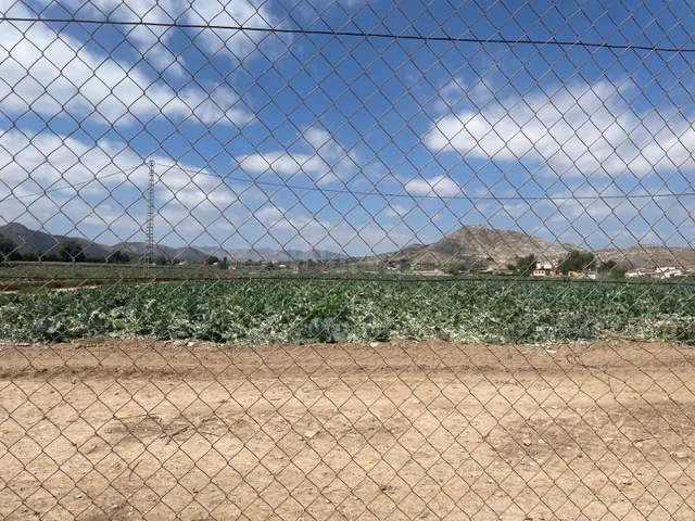 VENTA DE PARCELA EN ASPE (ALICANTE) - foto 5