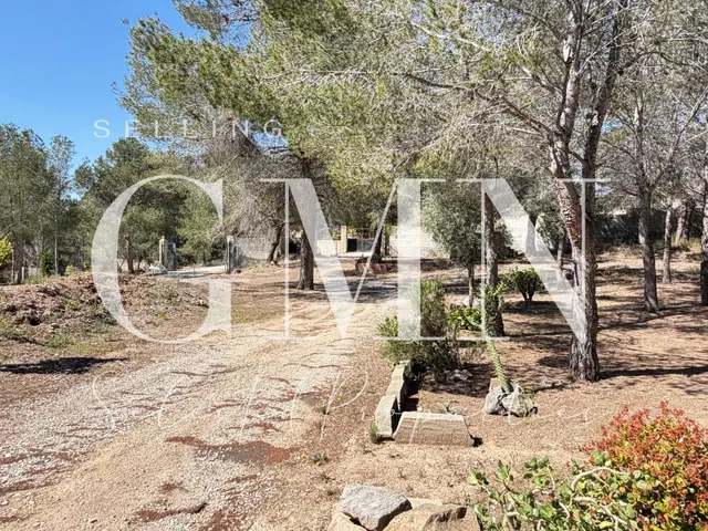ATRACTIVO TERRENO CON VIVIENDA - foto 4