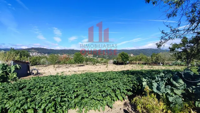 FINCA DE MÁS DE TRES MIL METROS CUADRADOS EN SAN CIBRAO DAS VIÑAS. — 3