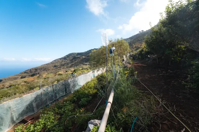 Finca rústica con casa terrera y vistas al mar en tierra del trigo, los silos — 34
