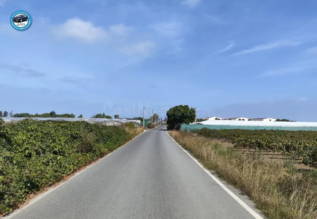 Terreno rural en venta - Carretera Sanlucar