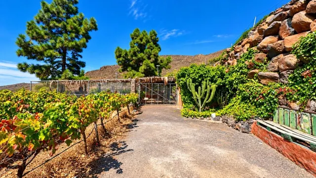 Finca exclusiva en Vilaflor · 2 viviendas, viñedo, bodega y piscina — 58