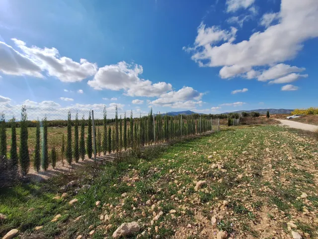 ¡Parcela edificable de 16.964 m2, vallada, con camino perime - foto 2
