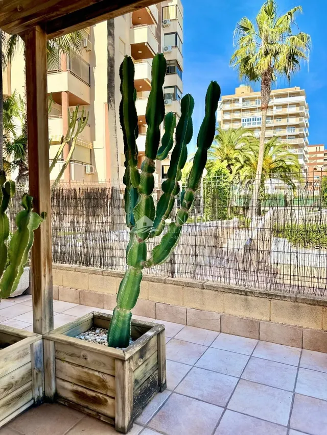 INMOBILIARIA SAN JOSE VENDE BONITO BAJO A ESCASOS 2 MINUTOS DE LA PLAYA DE MUCHAVISTA-EL CAMPELLO — 47