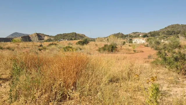 Finca no urbanizable en Altea — 4