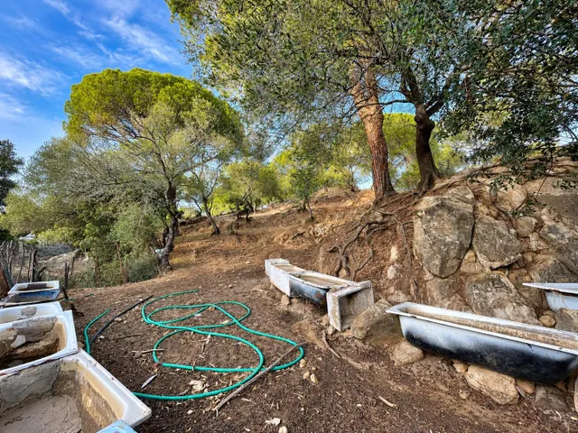 Finca rústica de 18.444 m2 con pozo y construcción catastrada en Alcalá de los Gazule — 43