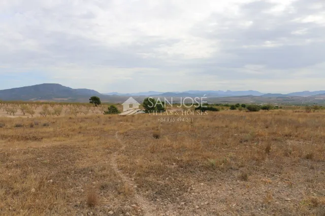 VENTA DE TERRENO EN JUMILLA — 2