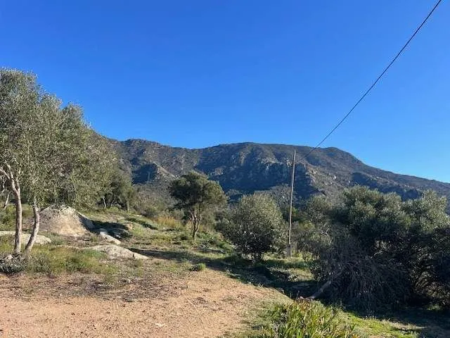 Solar para chalets en Palau-Saverdera — 14