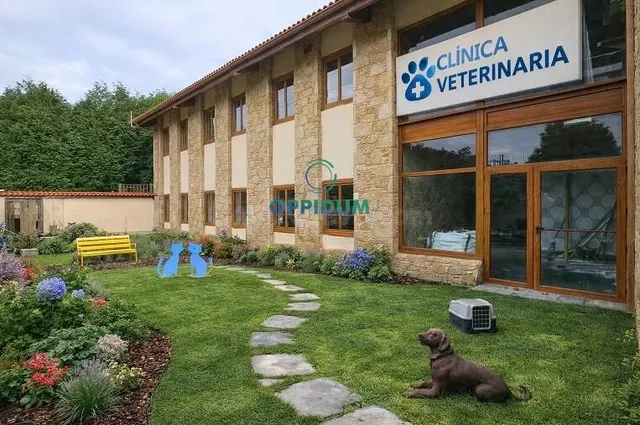 Casa con gran potencial en Arteixo, A Coruña - foto 5