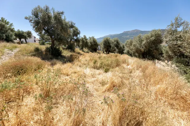 Venta de 6.634 m2 de suelo urbano en Güejar Sierra (Granada) — 8