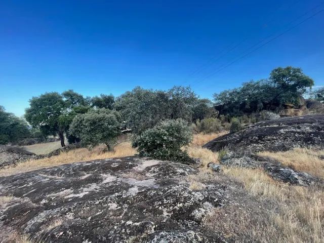 TERRENO RUSTICO EN MAJADACABRAS, ALDEA DEL CANO - foto 5