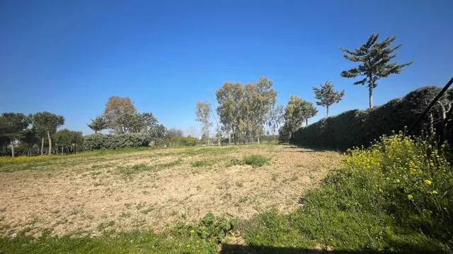 Terreno rural 10m² en alquiler - San Nicasio — 9
