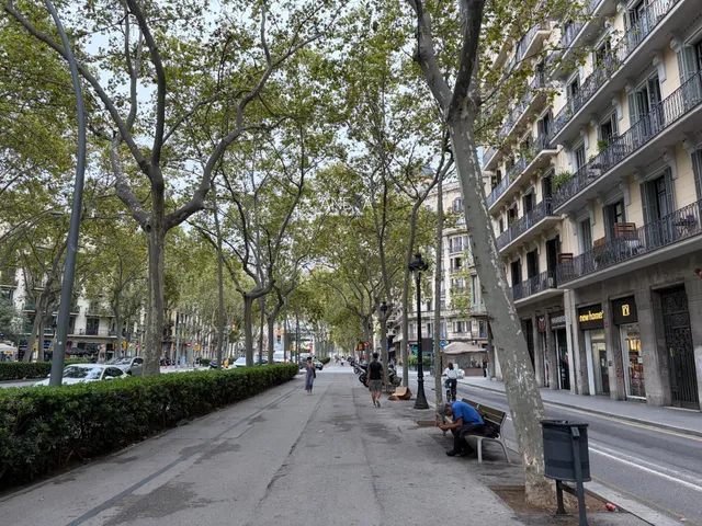 Piso 3 habitaciones 116m² en venta - La Nova Esquerra de l´Eixample — 27