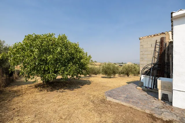Encanto rústico con casita y olivos en Moraleja de Zafayona — 23