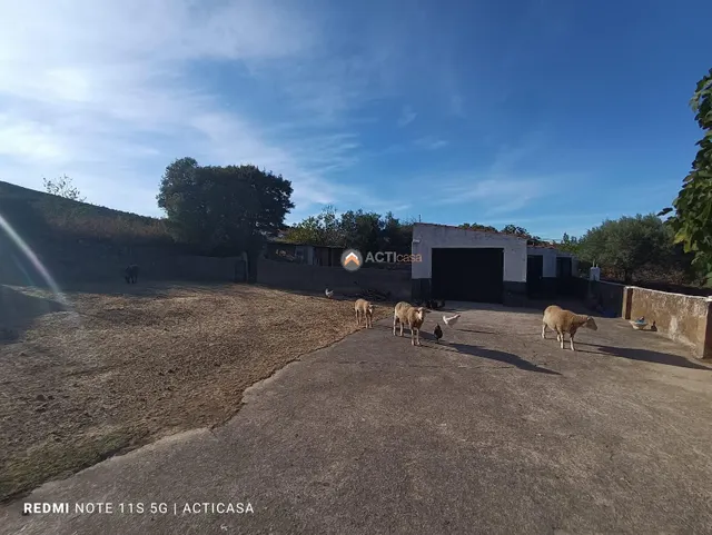 FINCA RÚSTICA CON VIVIENDA EN SIERRA DE FUENTES — 3