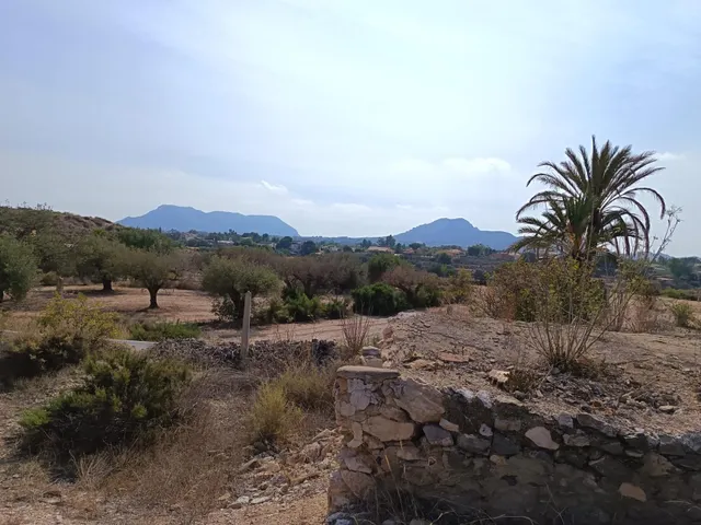 SE VENDE TERRENO DE 12.000 MTS / ZONA CAÑADA / CERCA DE LA C - foto 3